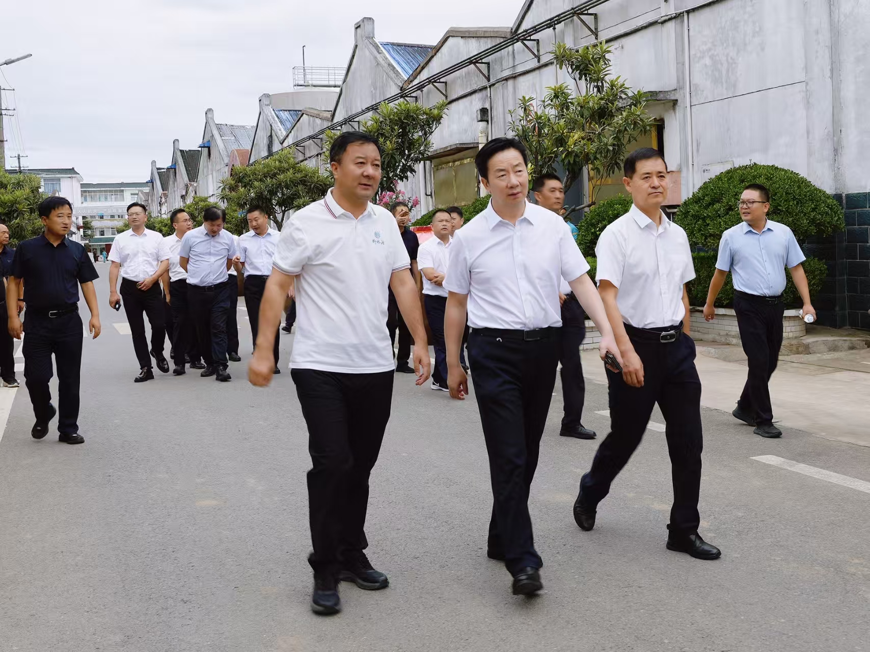 宿迁市人大常委会冯如意副主任莅临柳林酒业考察调研